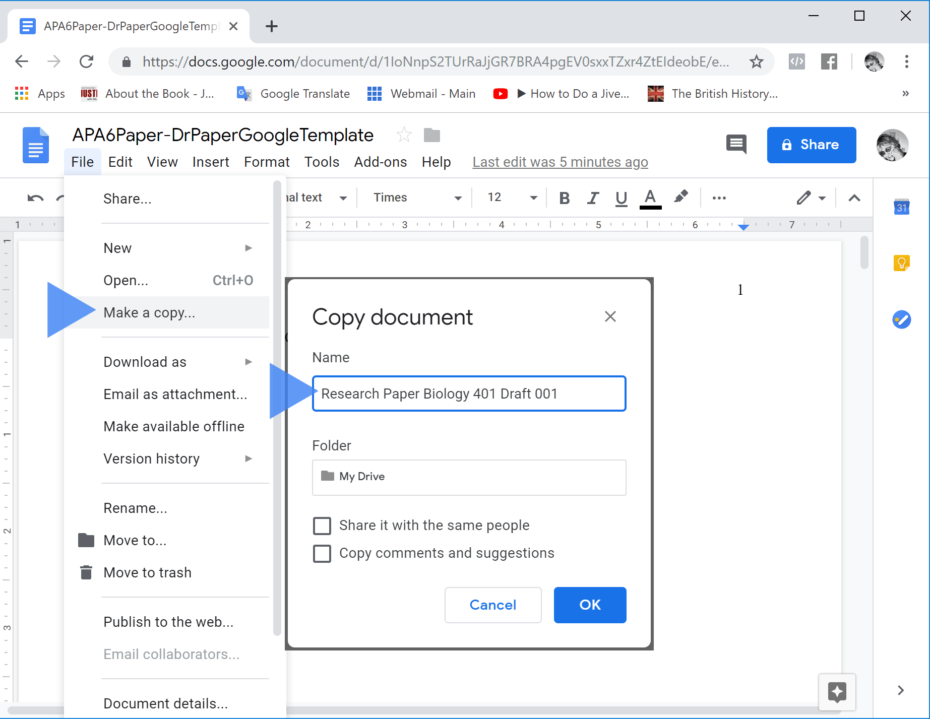 Make a copy of the template and name your document